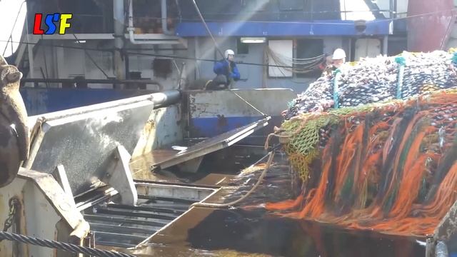 Big Net fishing, processing on a frozen fishing boat - Catching & Producing Frozen At Sea Cod #02 смотреть онлайн