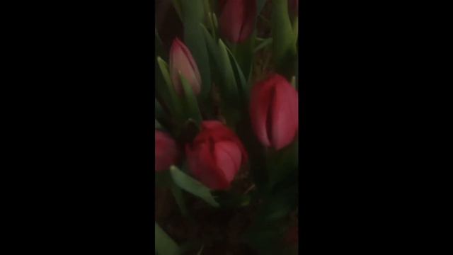 Самое лучшее поздравление с 8 марта за всю историю человечества!!! смотреть онлайн