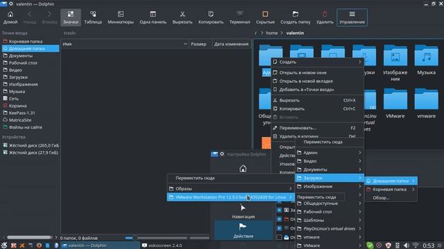 Настройка файлового менеджера Dolphin (Дельфин) на LinuxMint 18 KDE5 X64