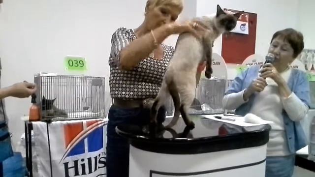 Шуберт 2013 08 31 смотреть онлайн