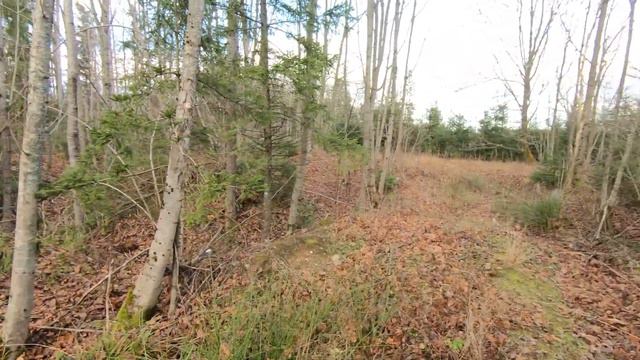 Лес 43 Крево Запад-1. Немецкая траншея Т1 Б. Част 2 смотреть онлайн