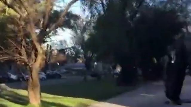 Space goofs Fixed gear смотреть онлайн