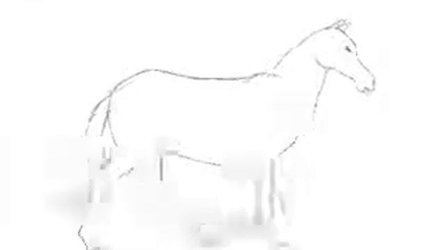 Animated horse walk in 2D. смотреть онлайн