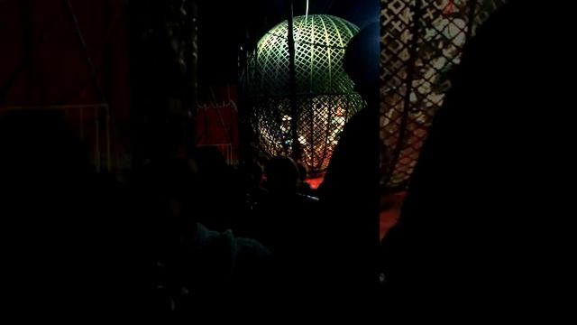 Мой маленький влог ЦИРК!!! МОТОКРОСС. КАМЕРА ПЛОХО СНЕЛА. МАЛЬЧИК ПЕРЕД КАМЕРОЙ