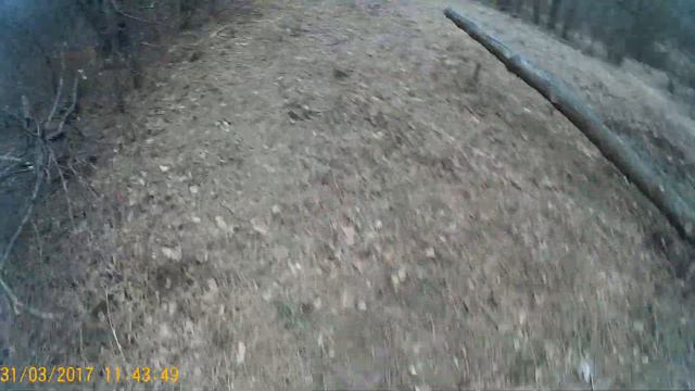 Тренировка автовокзал ориентирование в Кисловодске смотреть онлайн