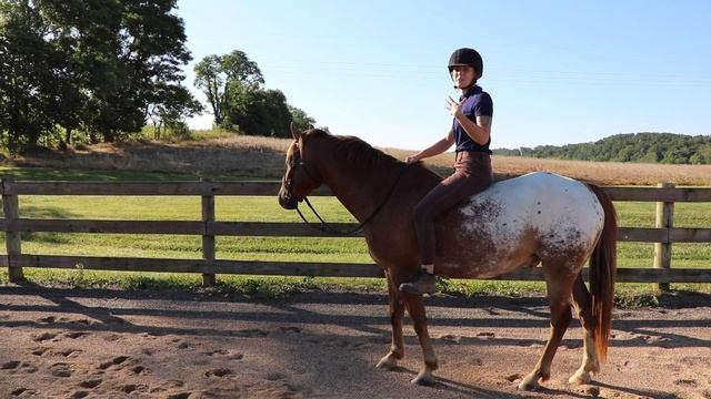 How to Ride a Horse WITHOUT a Saddle смотреть онлайн