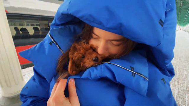 Первый день с пуделем Сэмом❤️ смотреть онлайн