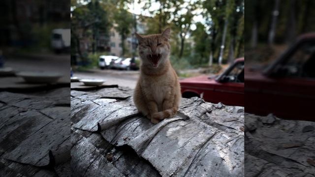 Комсомольск - глаза (прилипли) // кавер алія панкова смотреть онлайн