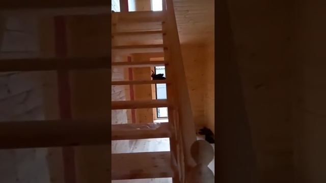 Обзор каркасно-щитового дома от заказчика смотреть онлайн