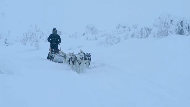 100 Days Of Polar Night Magic смотреть онлайн