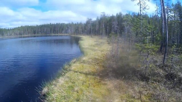 Карелия. Рыбалка на дальних ламбинах /1/. Щука на спиннинг. Наша база в тайге. смотреть онлайн