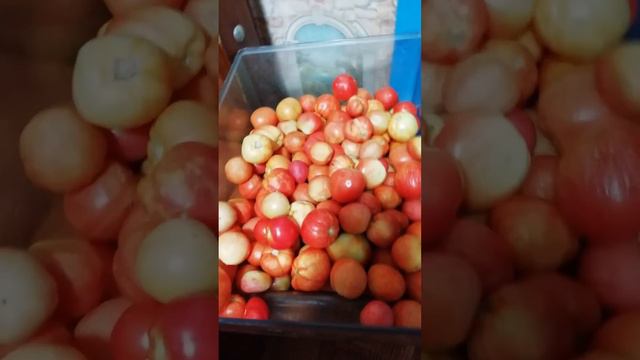 Красотка! С добрым утром!