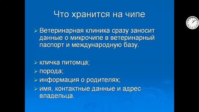 zoom 0 смотреть онлайн
