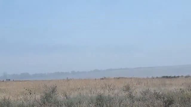 Наше путишествие на море 2019 Лазурное карадай смотреть онлайн