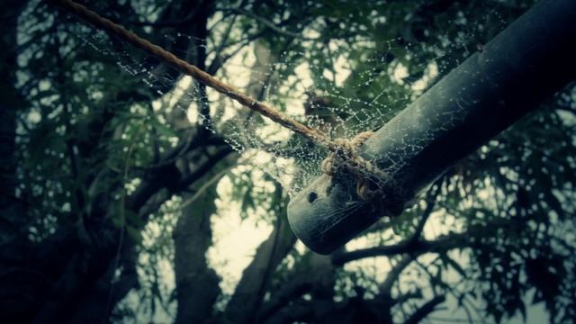 Cobwebs in the garden смотреть онлайн