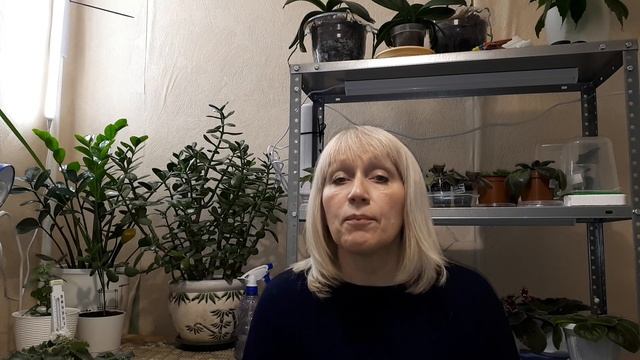 Что надо обязательно сделать перед посадкой рассады? смотреть онлайн