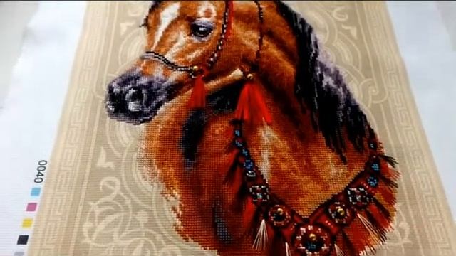 Готовая работа "Арабское сокровище, Риолис". Сп в мире животных смотреть онлайн