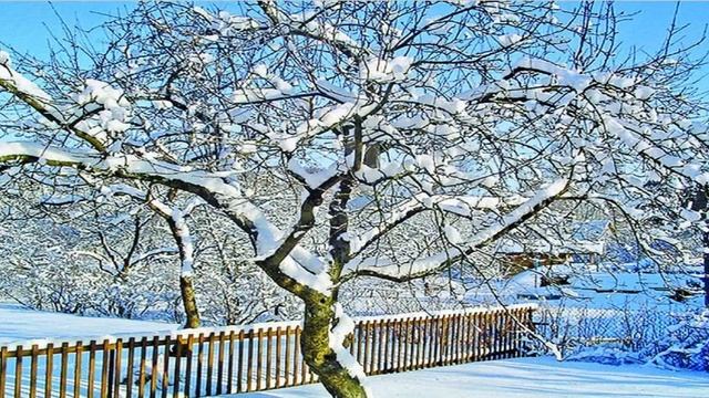 Стихотворение " Мой дом" (автор Усова Татьяна) смотреть онлайн