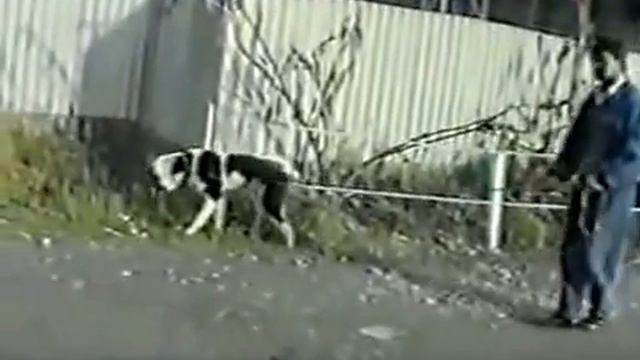 старый Алаш смотреть онлайн
