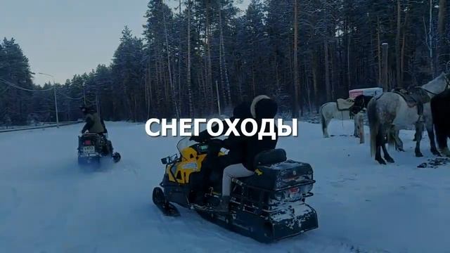 Где отметить Новый Год- 20234 смотреть онлайн
