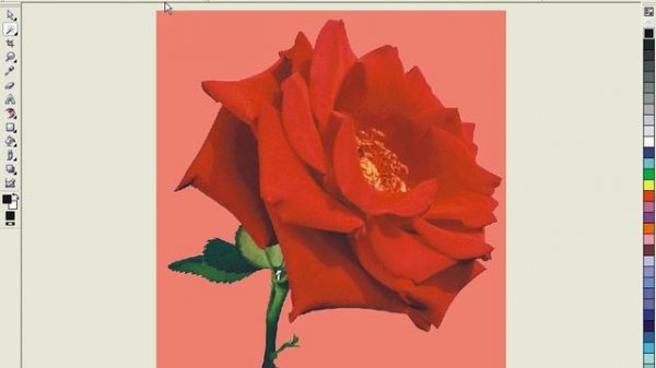 Как быстро отделить картинку от фона в CorelDraw Видеоурок № 7