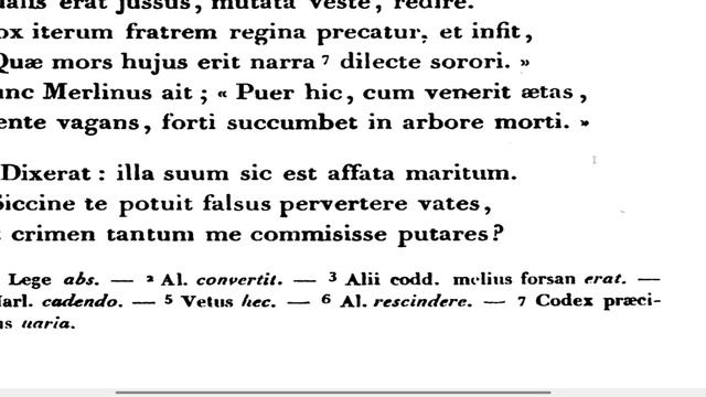 Latin Live - A Reading from Geoffrey of Monmouth's Vita Merlini, a Latin poem about Merlin the magi смотреть онлайн