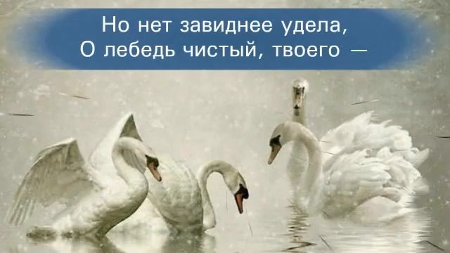 Федір Тютчев "Лебідь" Відеопоезія. Проект Сидорової Вікторії смотреть онлайн