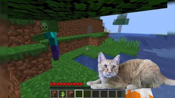 Учу Симбу играть в Майнкрафт... (прыгнул в лаву от стыда)