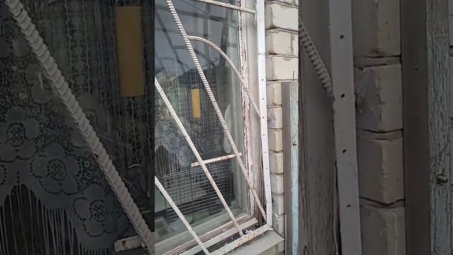 Опасайтесь: Не все хорошо, что Дёшево.Дорого, да мило, дёшево, да гнило. Пеноизол внутри стен фасад смотреть онлайн