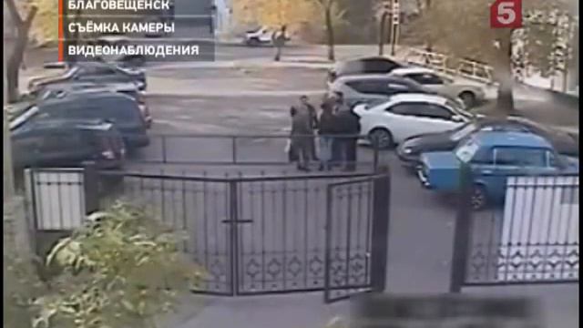 Семнадцатилетние девушки похитили с клумбы гипсовых гномов смотреть онлайн