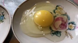 Как отличить деревенское яйцо от магазинного