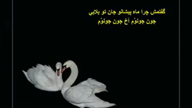 ماه پیشانو.دریا دادور смотреть онлайн