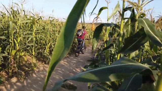 Веломаршрут "Grand River Express" смотреть онлайн