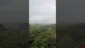 Отель Stony Brook Villa, о.Хайнань, Китай ноябрь 2023