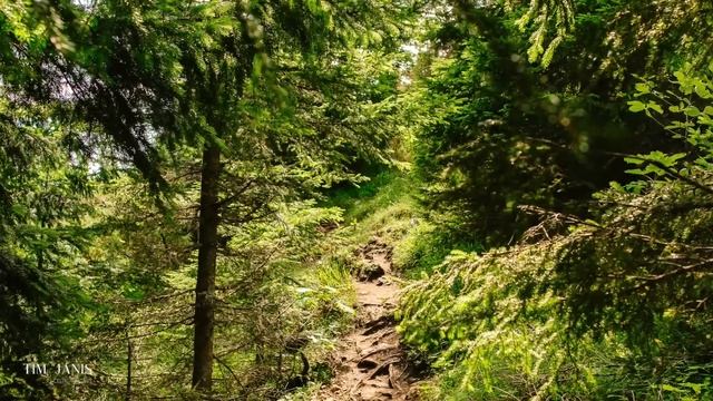Peaceful Music, Relaxing Music, Celtic Instrumental Music  