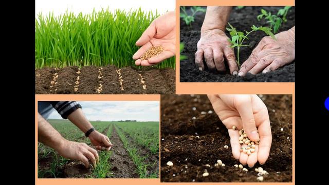 21 04 2020 Технологияд 5класс РыковаН Н смотреть онлайн