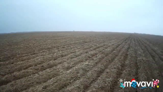 Охота на зайца смотреть онлайн