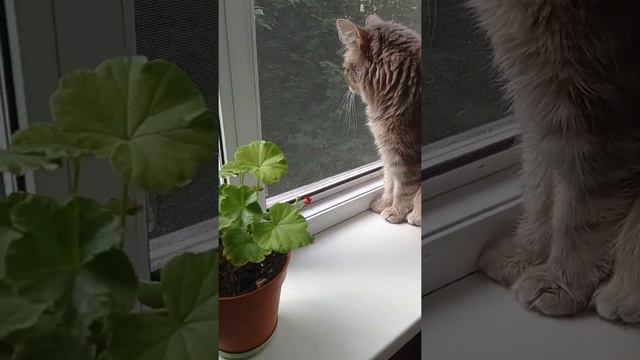 16 июня 2022 г. смотреть онлайн