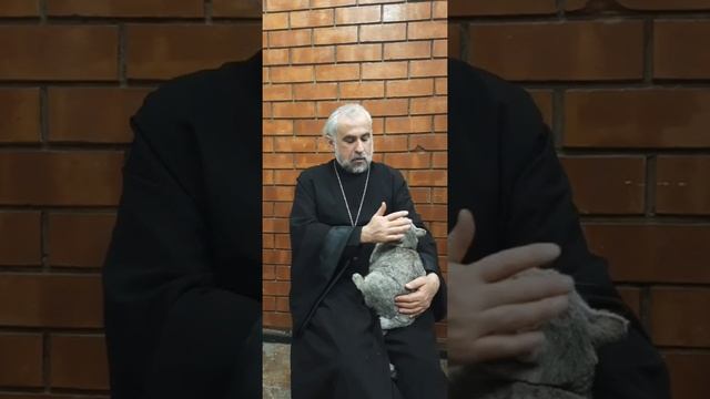 Правда ли умерших нельзя поминать вечером и ночью #shorts смотреть онлайн