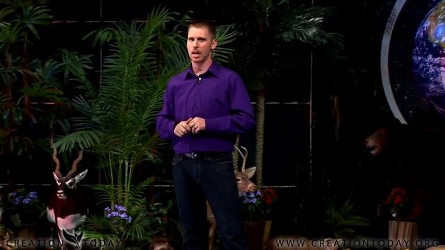 CT1-24: When God made the World, it was Good смотреть онлайн