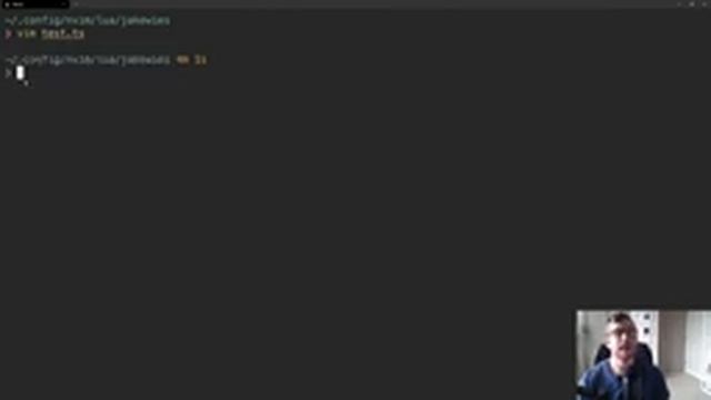 Up And Running With Neovim + LSP смотреть онлайн