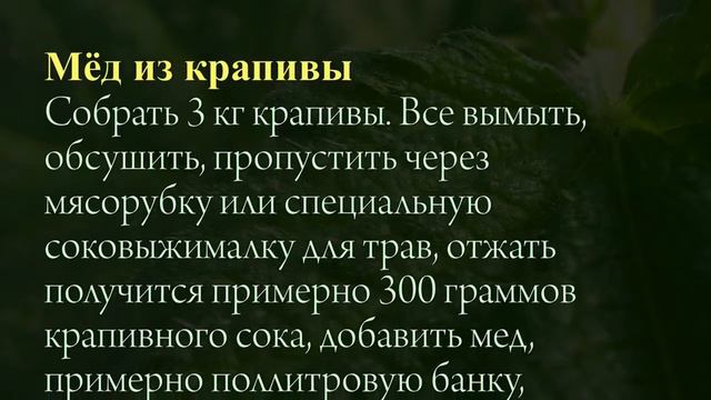 Целебные свойства крапивы смотреть онлайн