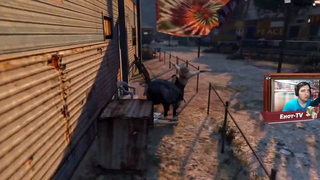 GTA 5 PS4 ЛОФОФОРЫ - ЧЕТКИЙ КАБАН (+Карта)(17/27) смотреть онлайн