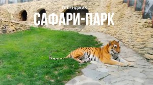 САФАРИ-ПАРК в г. Геленджике