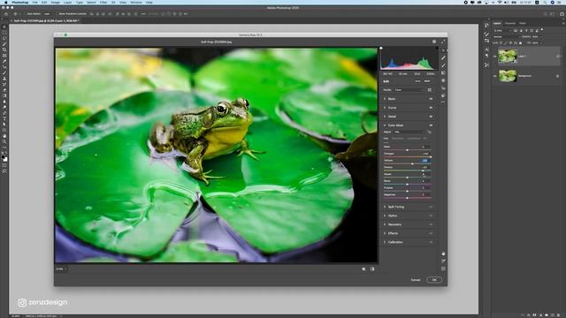 Adobe Camera Raw Update (June 2020) - Color Grading Wildlife Photos смотреть онлайн
