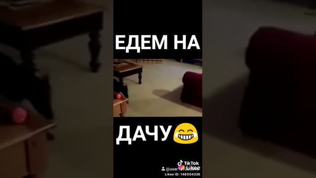 Едем на дачу мем смотреть онлайн