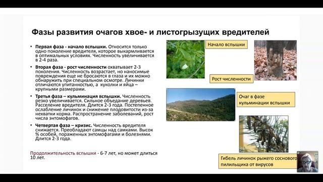 Основные методы лесопатологического обследования лесных насаждений смотреть онлайн