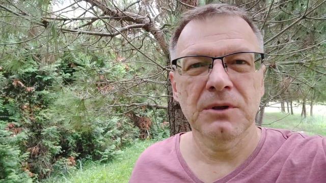 Буратины и Барабасы! Кто ты в этой жизни? смотреть онлайн