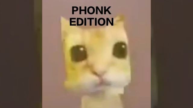 опа гангам стайл ай базысты бильбигилм (phonk edition) смотреть онлайн