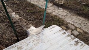 Шпалеры для винограда  Из чего и как построить  Как достроить вторую плоскость